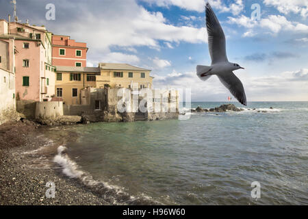 Bird soars over gently lapping waves at shore by seaside village on beautiful summer day Stock Photo