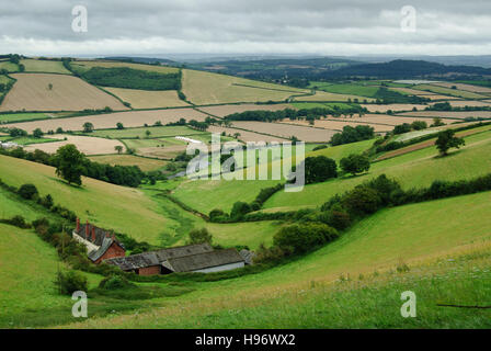 Typical English countryside landscape with hills, fields and hedgerows in Devon Stock Photo