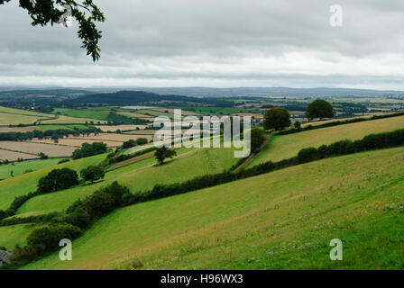 Typical English countryside landscape with hills, fields and hedgerows in Devon Stock Photo