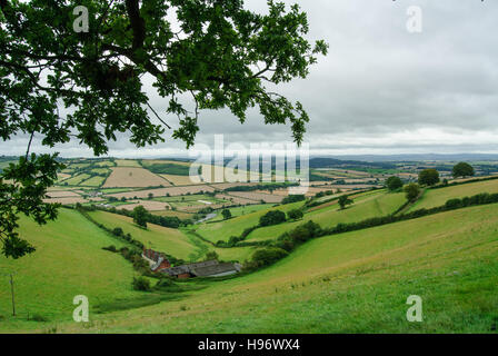 Typical English countryside landscape with hills, fields and hedgerows in Devon Stock Photo