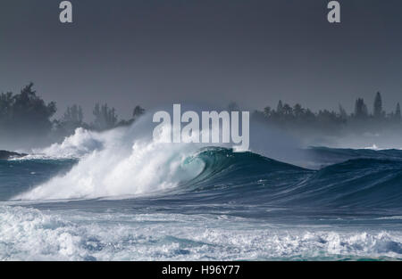Breaking Ocean wave at Waimea bay on the north shore of Oahu Hawaii Stock Photo