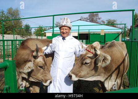 Kyrgyz man wearing a traditional hat shows off his prize heifers at an insemination laboratory sponsored by USAID in Bishkek, Kyrgyzstan. Stock Photo