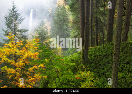 Morning fog drifts by and heavy autumn rains create a double cascade of North Falls at Oregon’s Silver Falls State Park. Stock Photo