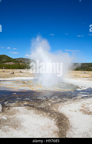 Geyser eruption in the Yellowstone national park, USA Stock Photo