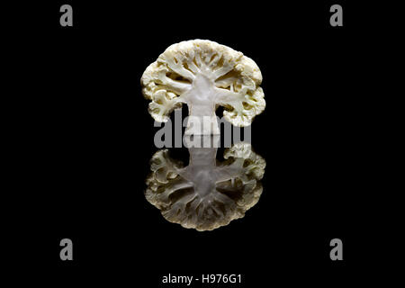 Cut in half white cauliflower isolated on black reflective background Stock Photo