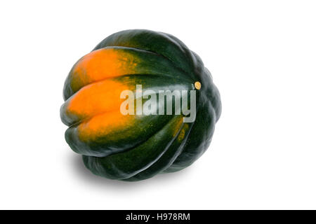 Close Up Still Life of Single Whole Acorn Squash with Green and Orange Skin in Silhouette on White Studio Background with Copy Space with View of Side Stock Photo