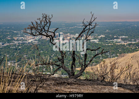 Burnt sagebrush and city of Boise Idaho as seen from above Stock Photo