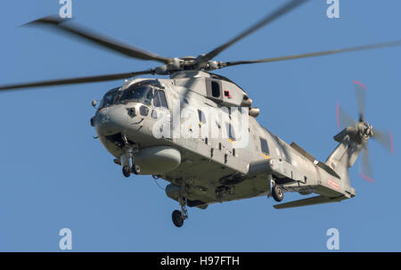 Royal Navy Merlin MK2 Helicopter operating from RNAS Culdrose Stock Photo