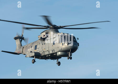 Royal Navy Merlin MK2 Helicopter operating from RNAS Culdrose Stock Photo