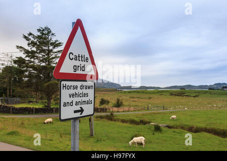 Cattle Grid warning sign on road at Toberonochy, Luing Stock Photo