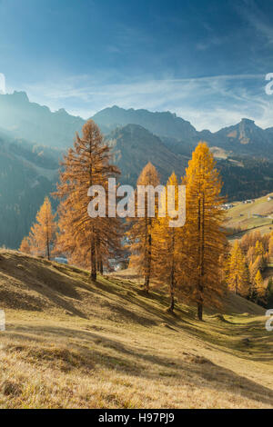 Autumn morning in the Dolomites near Arabba, Italy. Stock Photo