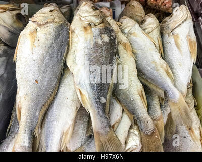 dried salted fish Pagellus bogaraveo or Red Seabream or local people called Ikan Gelama on display at fish market. Stock Photo