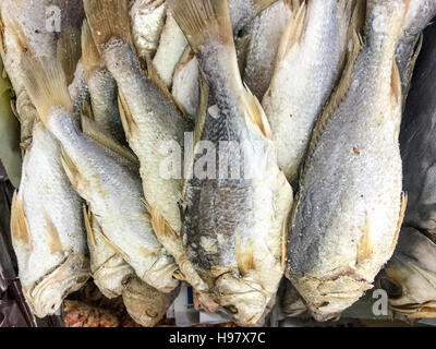 Dried salted fish Pagellus bogaraveo or Red Seabream or local people called Ikan Gelama on display at fish market. Stock Photo