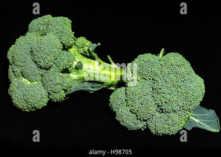 green florets of broccoli on black background Stock Photo