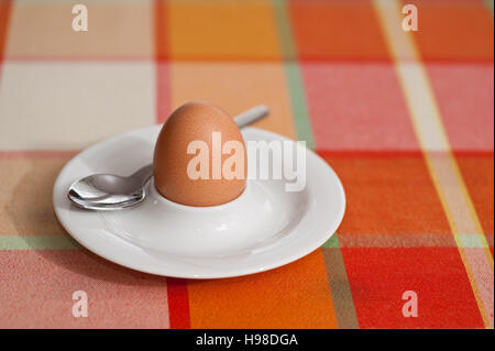 Boiled egg for breakfast Stock Photo