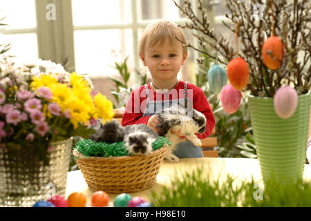 Easter arrangement Stock Photo