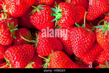 background of red big juicy ripe strawberries Stock Photo
