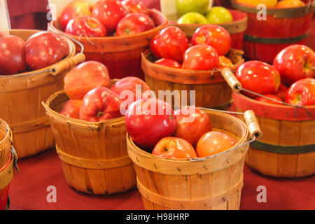 Michigan Red and Green Apples in Baskets Stock Photo
