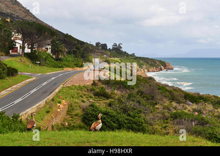 South Africa, driving on the road: view of the southafrican green landscape and Atlantic Ocean seen from the N2, the famous Garden Route Stock Photo