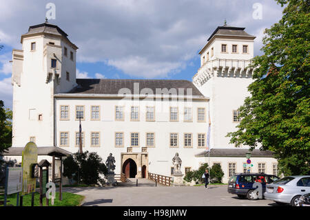 Asparn an der Zaya: Asparn Castle with the Museum of Prehistory, Weinviertel, Niederösterreich, Lower Austria, Austria Stock Photo