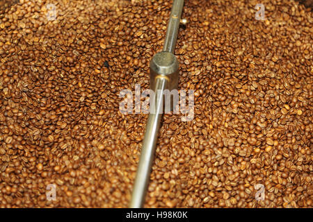 Coffee beans being roasted in Nova Scotia, Canada. The beans are moving while they are roasted. Stock Photo