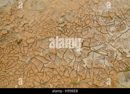 Cracked dry soil in dry river bed of Angola's Namibe desert. The cracks build a nice pattern and some weeds and grass are growing in between them. Stock Photo