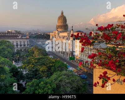 Havana, Cuba: Elevated view of Old Havana buildings at dawn Stock Photo