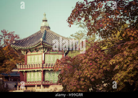 Autumn at Gyeongbokgung Palace in Seoul,Korea. Stock Photo