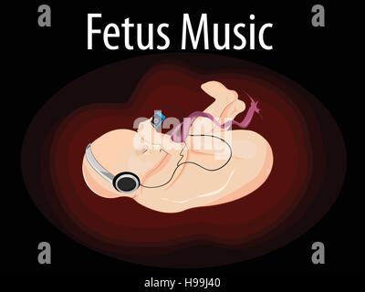 Vector illustration of Fetus  Music Stock Vector
