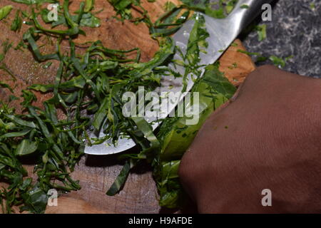 Cutting spinach Stock Photo