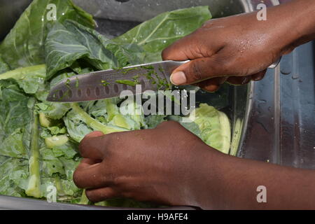 Hands washing greens in a sink while cutting Stock Photo