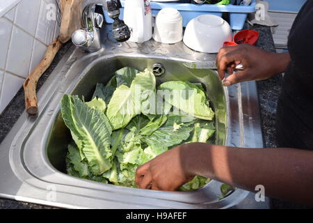 Washing spinach leaves under a tap Stock Photo