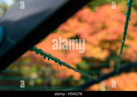 Washing line in the rain Stock Photo