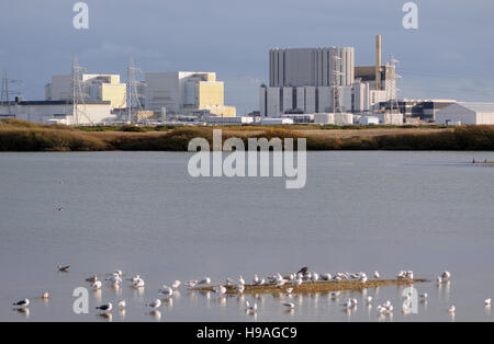 Dungeness nuclear power station with Dungeness Nature Reserve in the foreground. Dungeness, Kent, UK Stock Photo