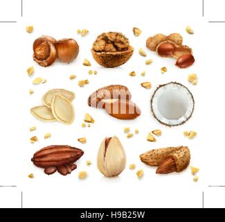 Nuts in the shell, vector icon set Stock Vector