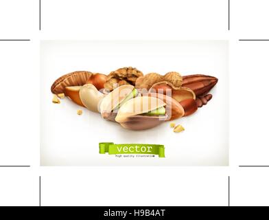 Nuts, vector illustration isolated on white Stock Vector