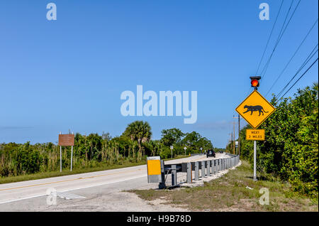 RADS wildlife crossing zone for Florida panthers on US 41 at Big Cypress National Preserve where many panthers are hit by cars Stock Photo