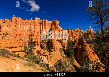 This is a view of the majestic red rock spires along the Queens Garden Trail of Bryce Canyon National Park, Garfield County, Utah, USA. Stock Photo