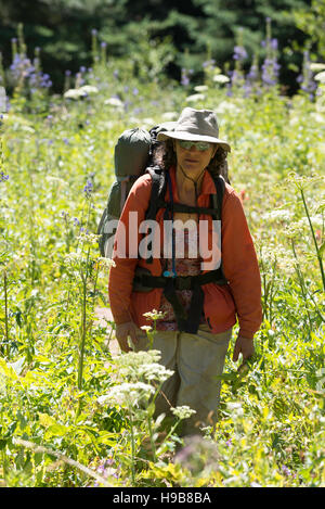 Backpacker walking through a tall meadow in Oregon's Wallowa Mountains. Stock Photo