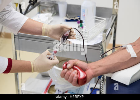 Hamburg, Germany. 17th Nov, 2016. An employee takes blood from a blood donor at the DRK North East blood donation service in Luetjensee near Hamburg, Germany, 17 November 2016. Photo: Christian Charisius/dpa/Alamy Live News Stock Photo