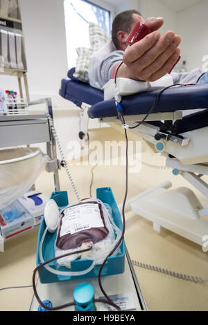 Hamburg, Germany. 17th Nov, 2016. An employee takes blood from a blood donor at the DRK North East blood donation service in Luetjensee near Hamburg, Germany, 17 November 2016. Photo: Christian Charisius/dpa/Alamy Live News Stock Photo