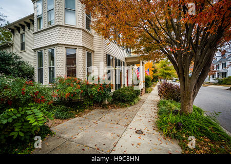 Autumn color and house in downtown Easton, Maryland. Stock Photo
