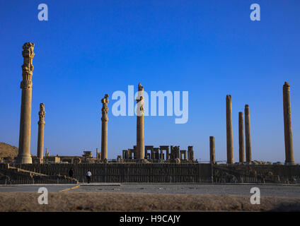 General overview of the remains of  ruins of the apadana in persepolis, Fars province, Marvdasht, Iran Stock Photo