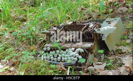 Old typewriter in the thicket Stock Photo