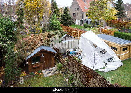 Broken tent and pine tree snapped in two and fallen on roof of garden house during autumn storm raging over Belgium Stock Photo