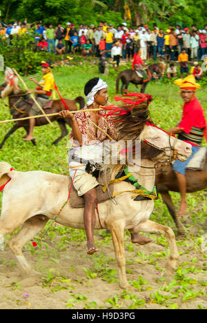 Horsemen at the Pasola, an annual battle where tribes throw spears to spill blood and fertilize the land to ensure a good harvest, on Sumba in Indones Stock Photo