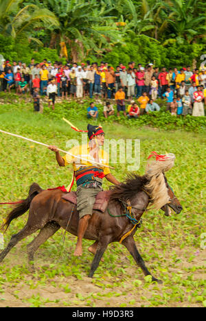 Horsemen at the Pasola, an annual battle where tribes throw spears to spill blood and fertilize the land to ensure a good harvest, on Sumba in Indones Stock Photo