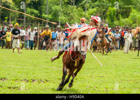 Horsemen at the Pasola, an annual battle where tribes throw spears to spill blood and fertilize the land to ensure a good harvest, on Sumba in Indones Stock Photo