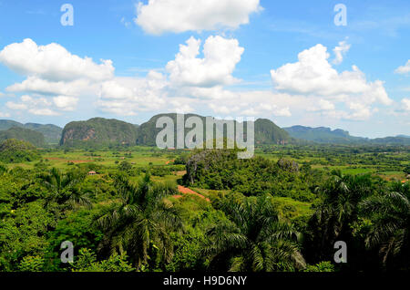 General view of Viñales valley, a green composition of fields and mountains, known as mogotes. Stock Photo