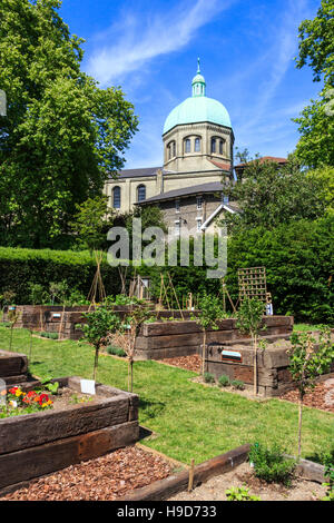 A community garden growing,flowers, fruit and vegetables, in Waterlow Park, North London, UK Stock Photo